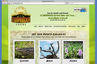 Web Design Examples